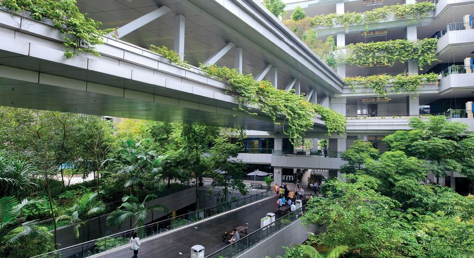 Biophilic Design – Kiến trúc xanh cho không gian sống hiện đại